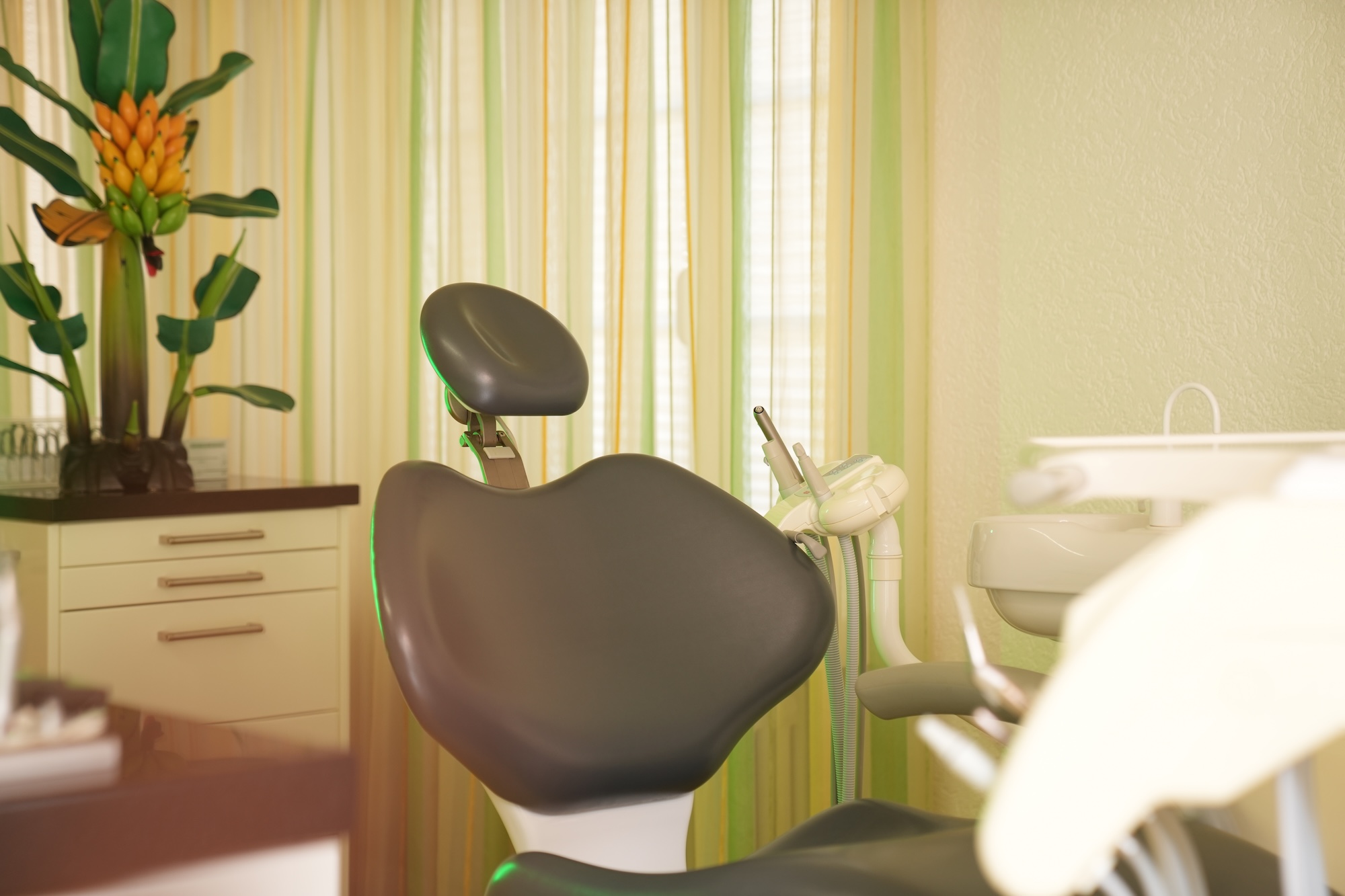 Kieferorthopädischer Behandlungsraum mit Behandlungsstuhl und Pflanzen.